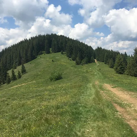 Вилла Guсulka Ksenia Косов