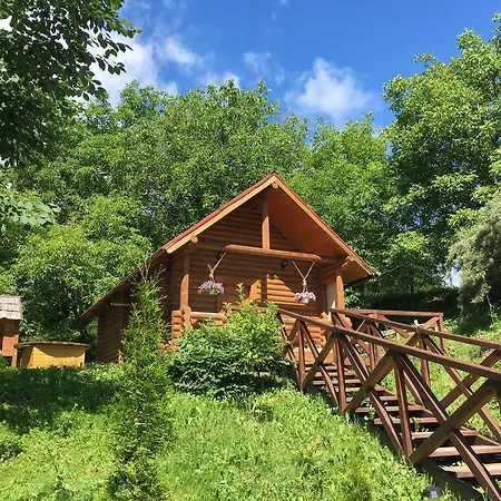 Guсulka Ksenia Косов